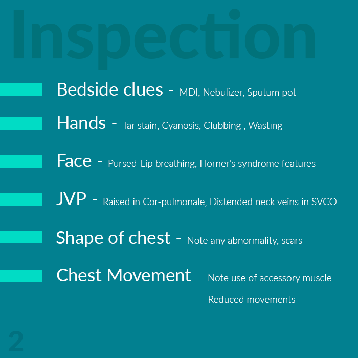 inspection respiratory system