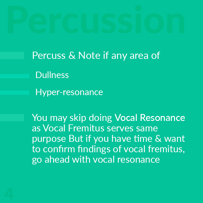 percussion respiratory system