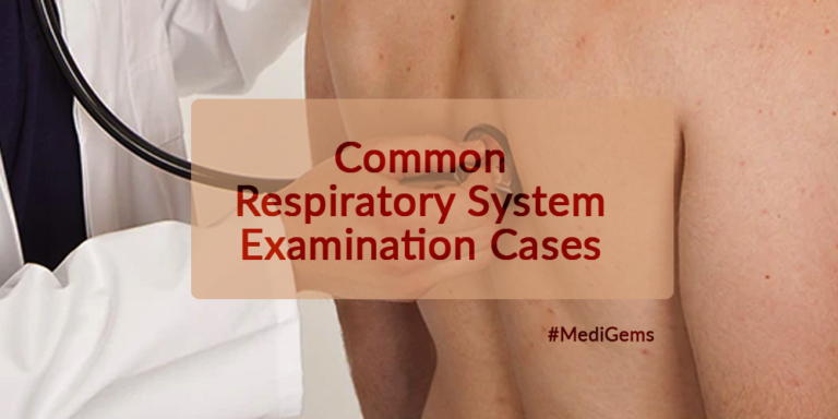 respiratory system