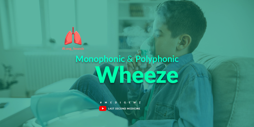 polyphonic wheeze