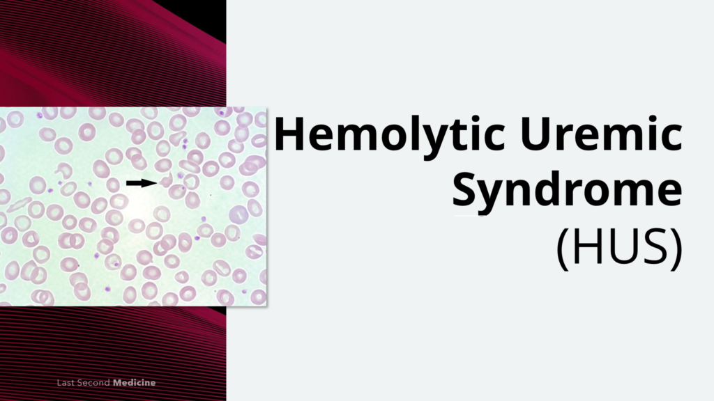 hemolytic uremic syndrome